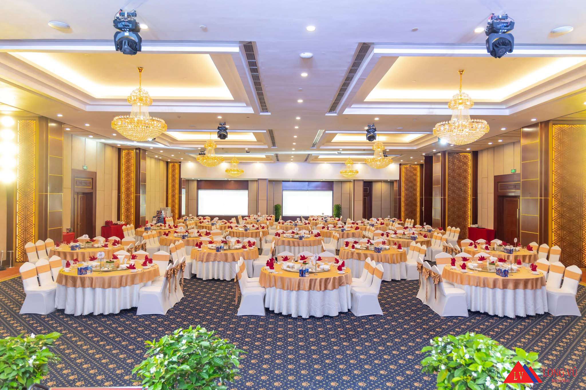 Ghế banquet nhập khẩu cho khách sạn 4,5 sao